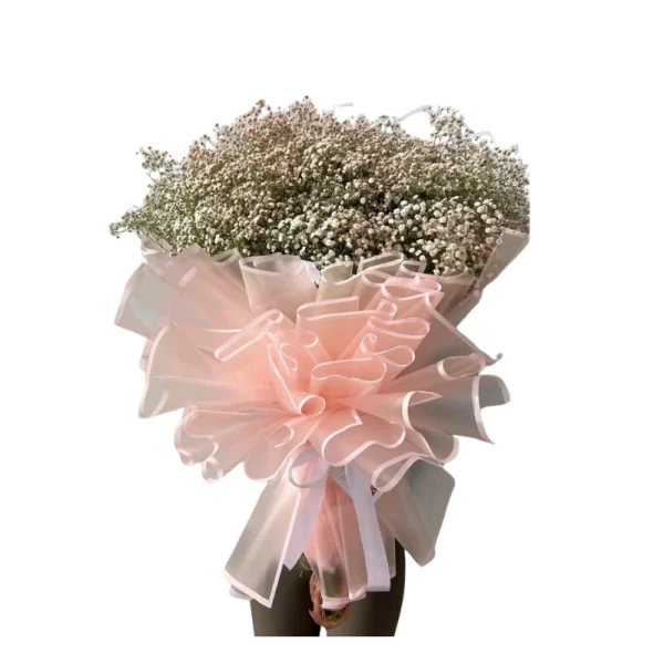 ⁦גיבסנית חלומית⁩ – תמונה ⁦2⁩