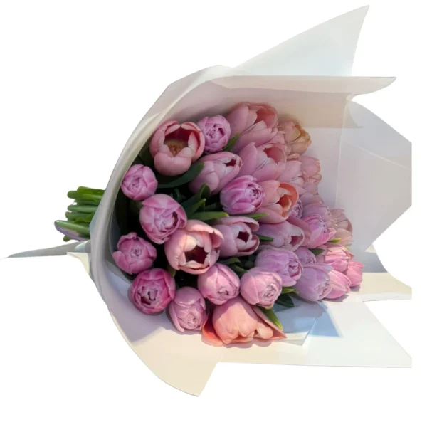 ⁦זר ORIAN⁩ – תמונה ⁦2⁩