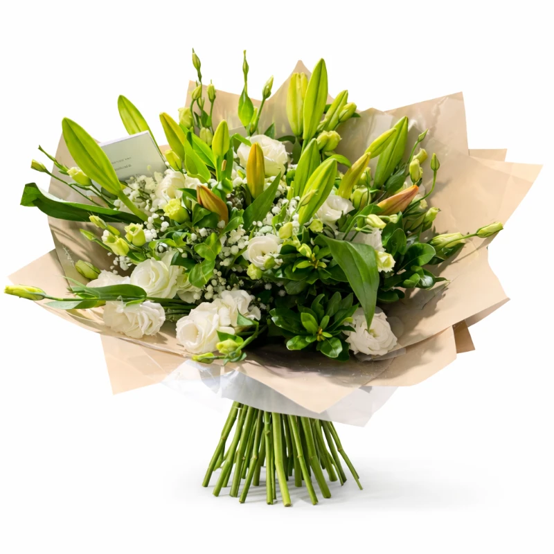 2e418a69-52ae-4e23-88be-7295a4986a7e Lilis&Lizi – תמונה 1