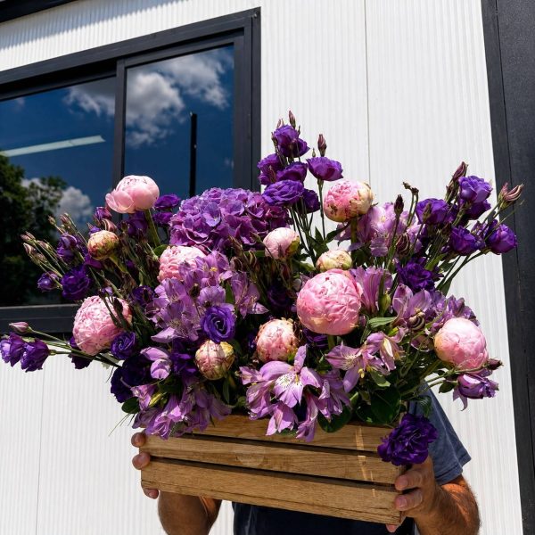 ⁦MIX PURPLE XL⁩ – תמונה ⁦2⁩